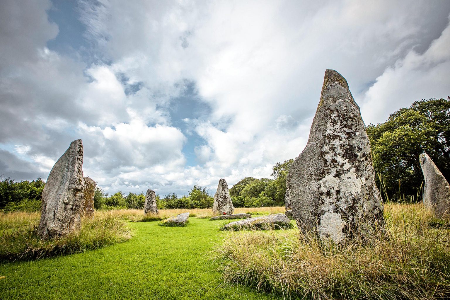 Rewilding the World with Ben Goldsmith