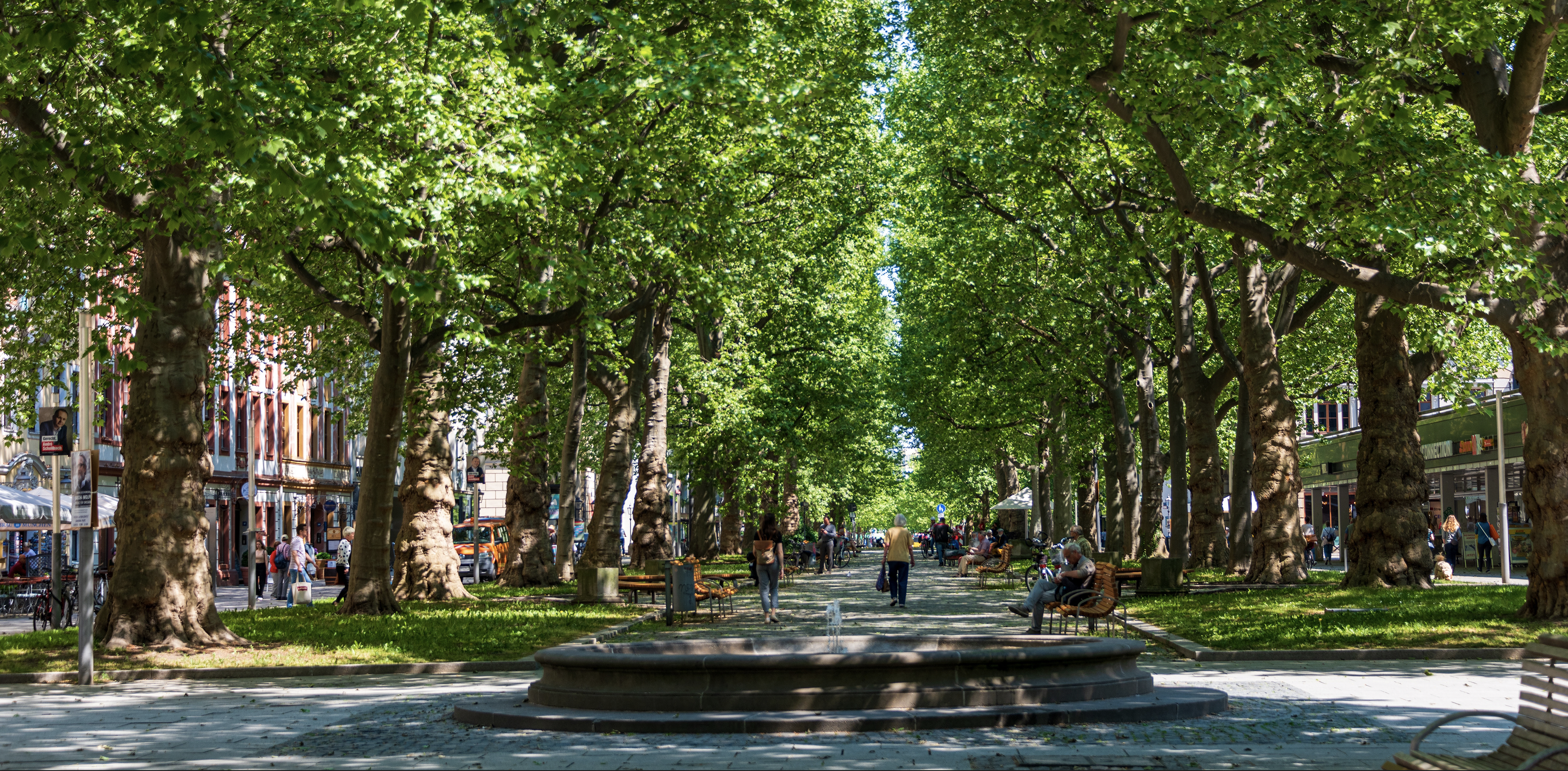 GIMBYism – Greenery In My Back Yard (please)