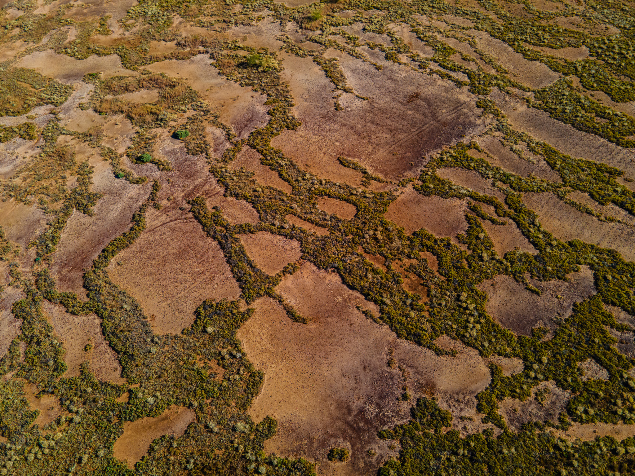 Bush Heritage Australia