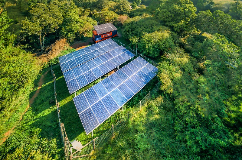 Roam solar charging station amongst green vegetation