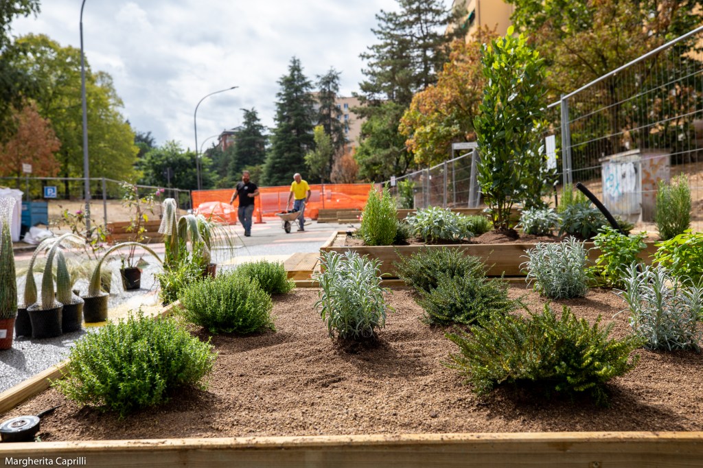 Participatory Urbanism: A beginners&nbsp;guide