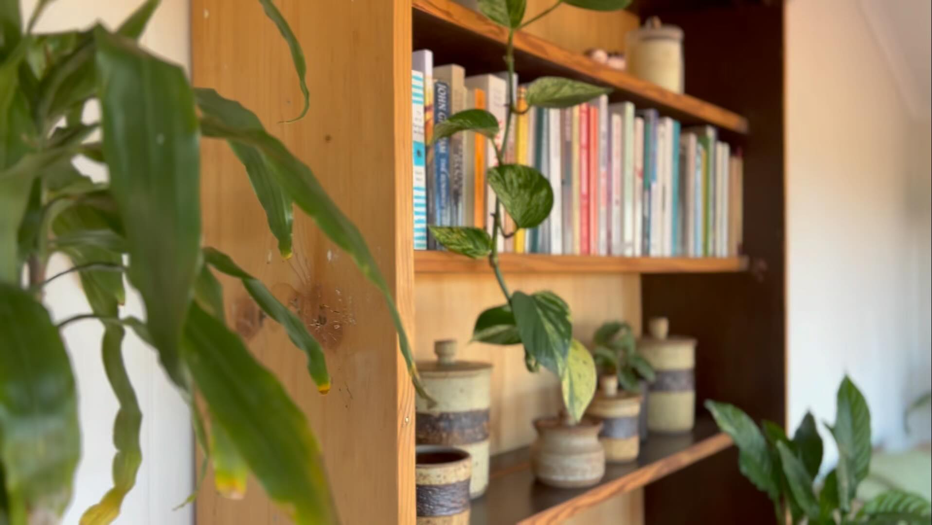 Bookcase with plants and some ceramics on the shelves.