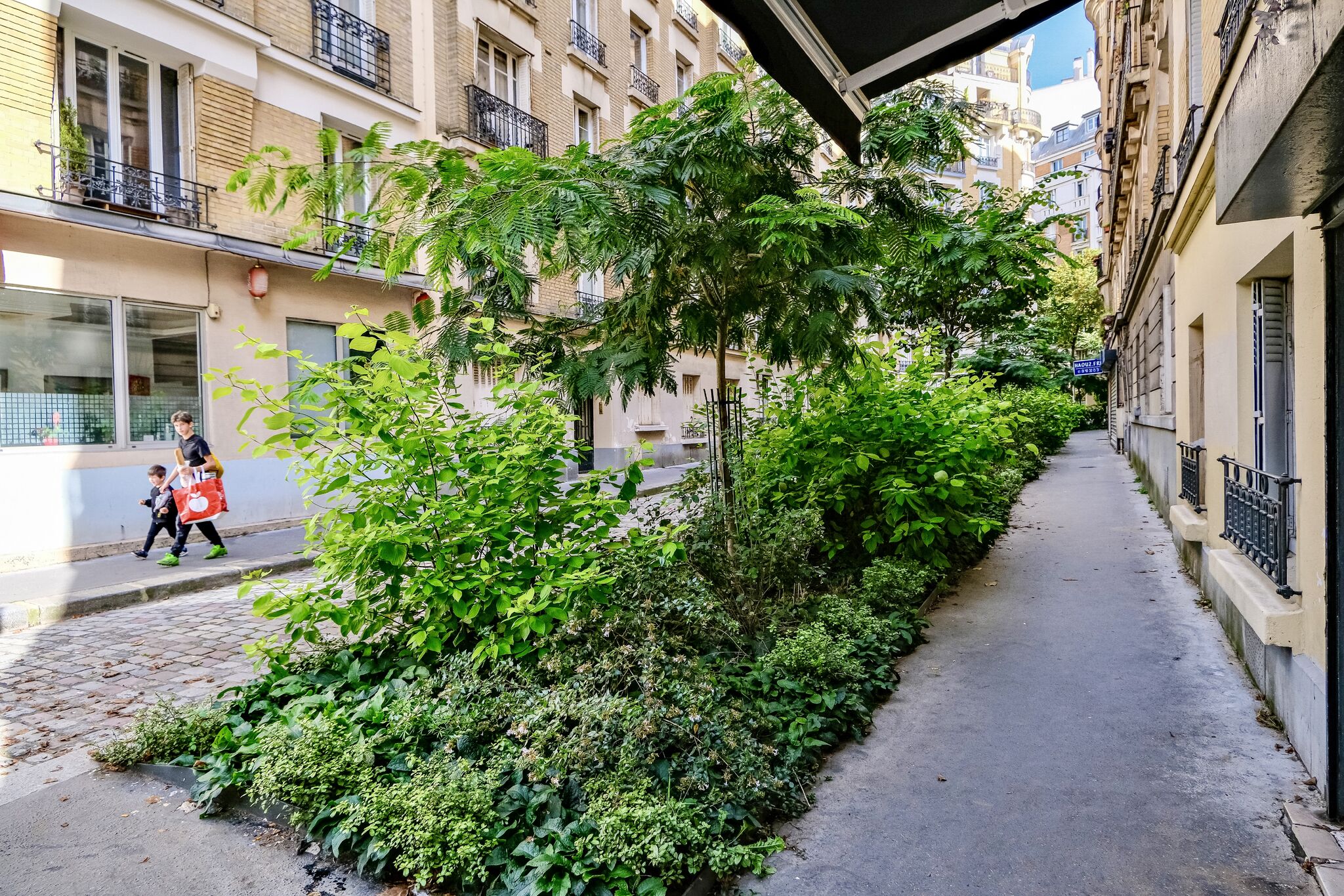 Wonderful photos of Paris Streets filled with greenery. Trees and shrubs and flowers in places where cars were once parked.