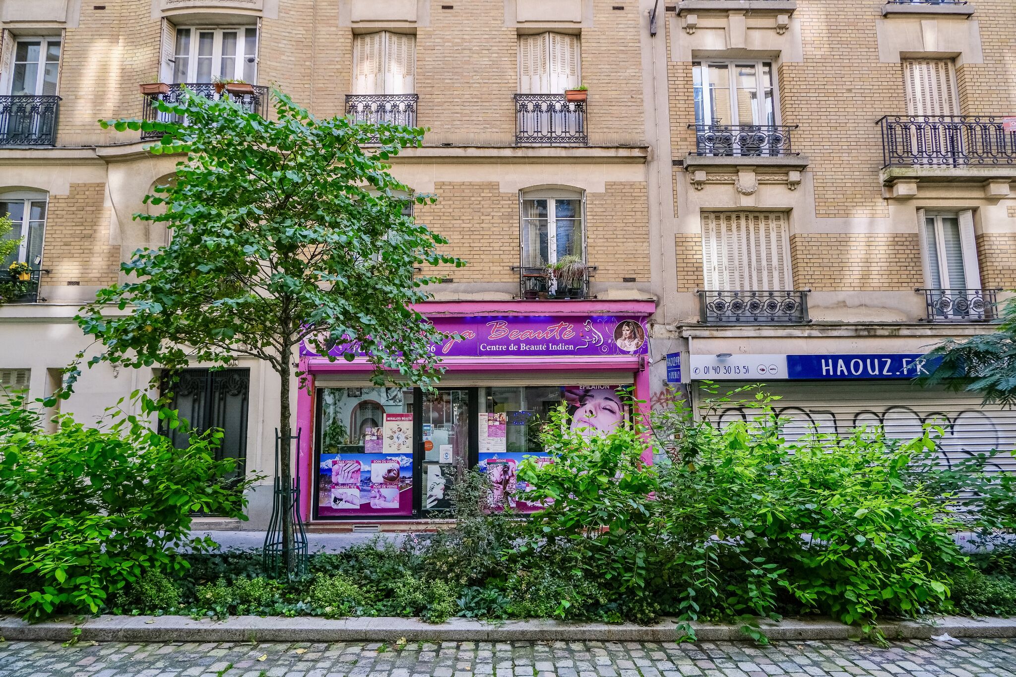 Wonderful photos of Paris Streets filled with greenery. Trees and shrubs and flowers in places where cars were once parked.