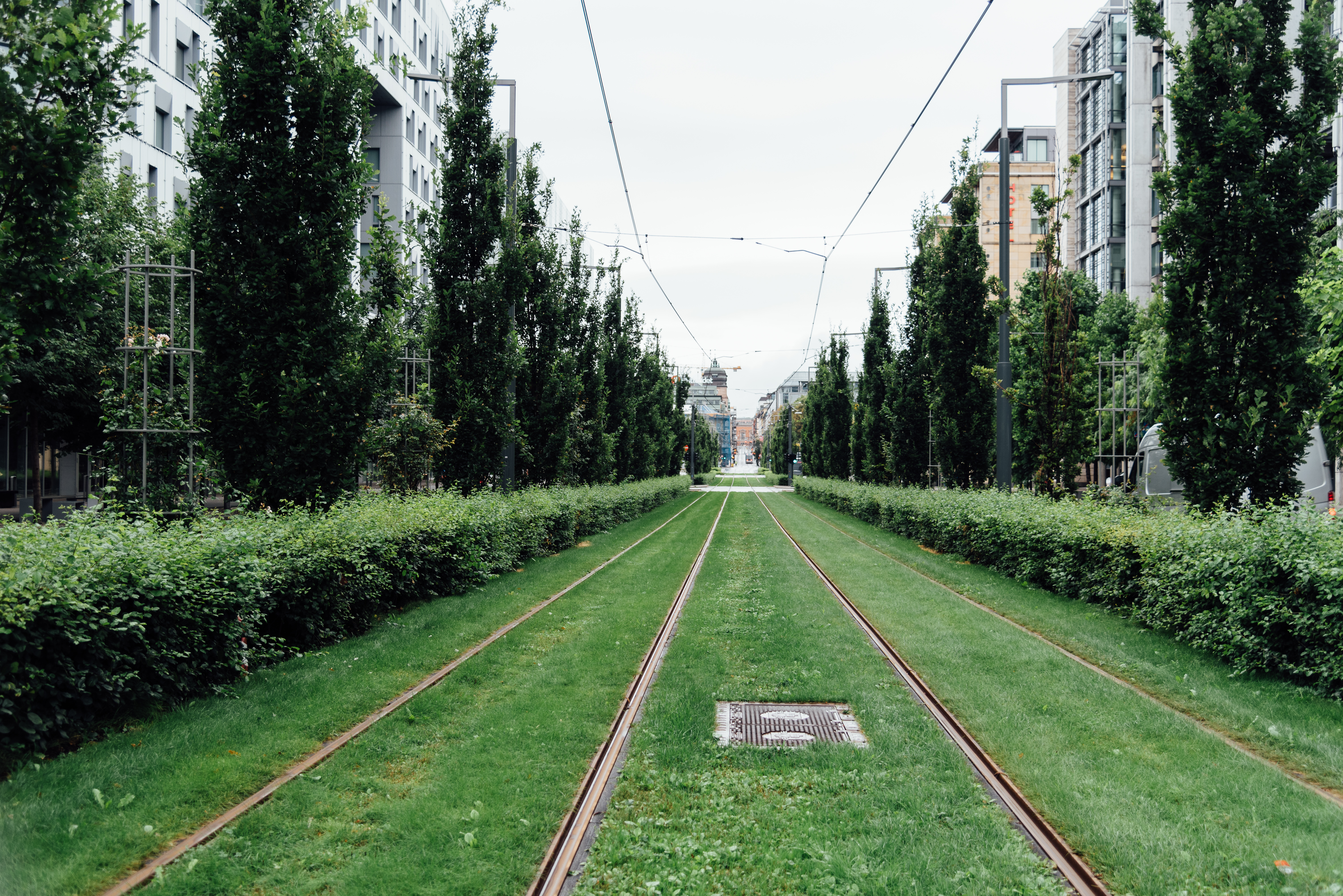 Gallery of City streets filled with Greenery. Tall trees, plants and bushes. All a vivid green colour with dappled sunlight.