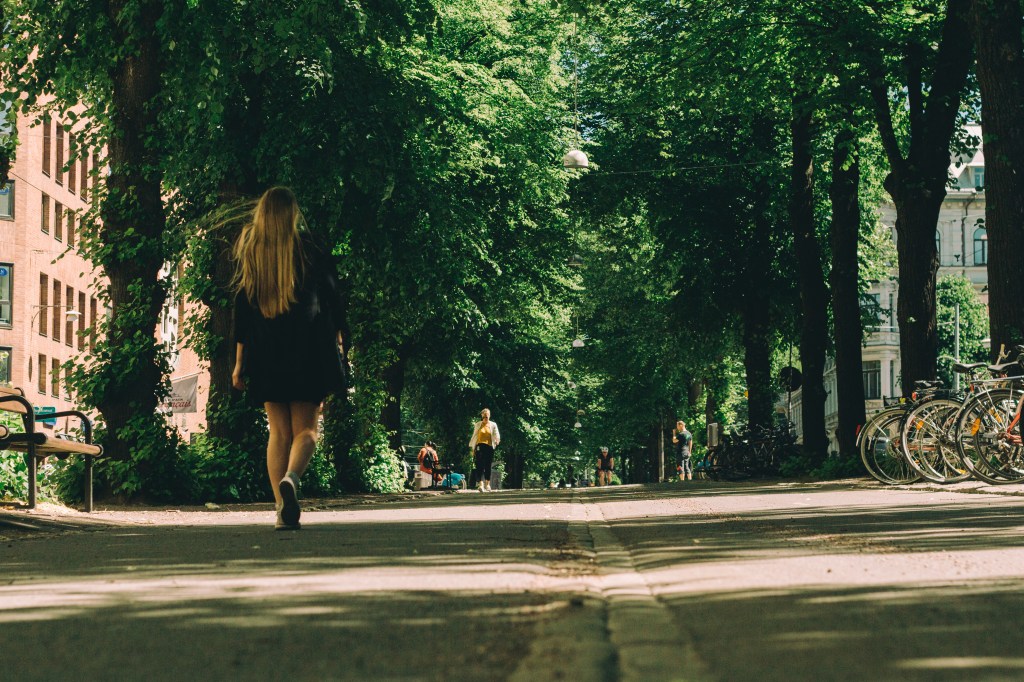 People waling down a street surrounded by trees