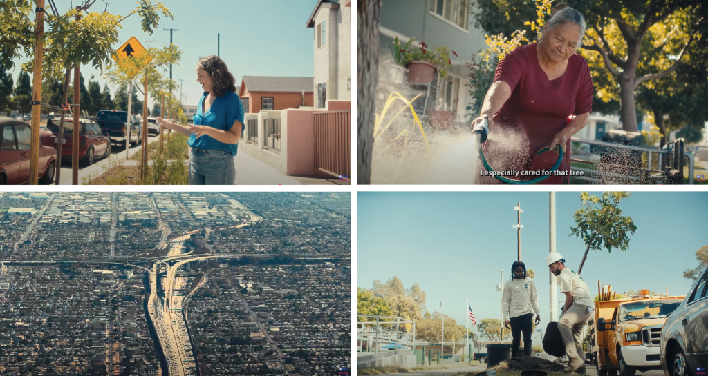 Screen grabs from the video: Can Trees Really Improve our Neighbourhoods? | Earth Focus | PBS SoCal