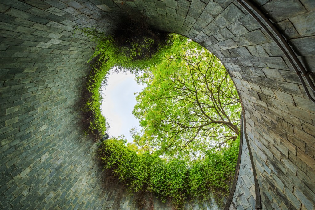 Bioplhilia and the need to fill our cities with&nbsp;nature.