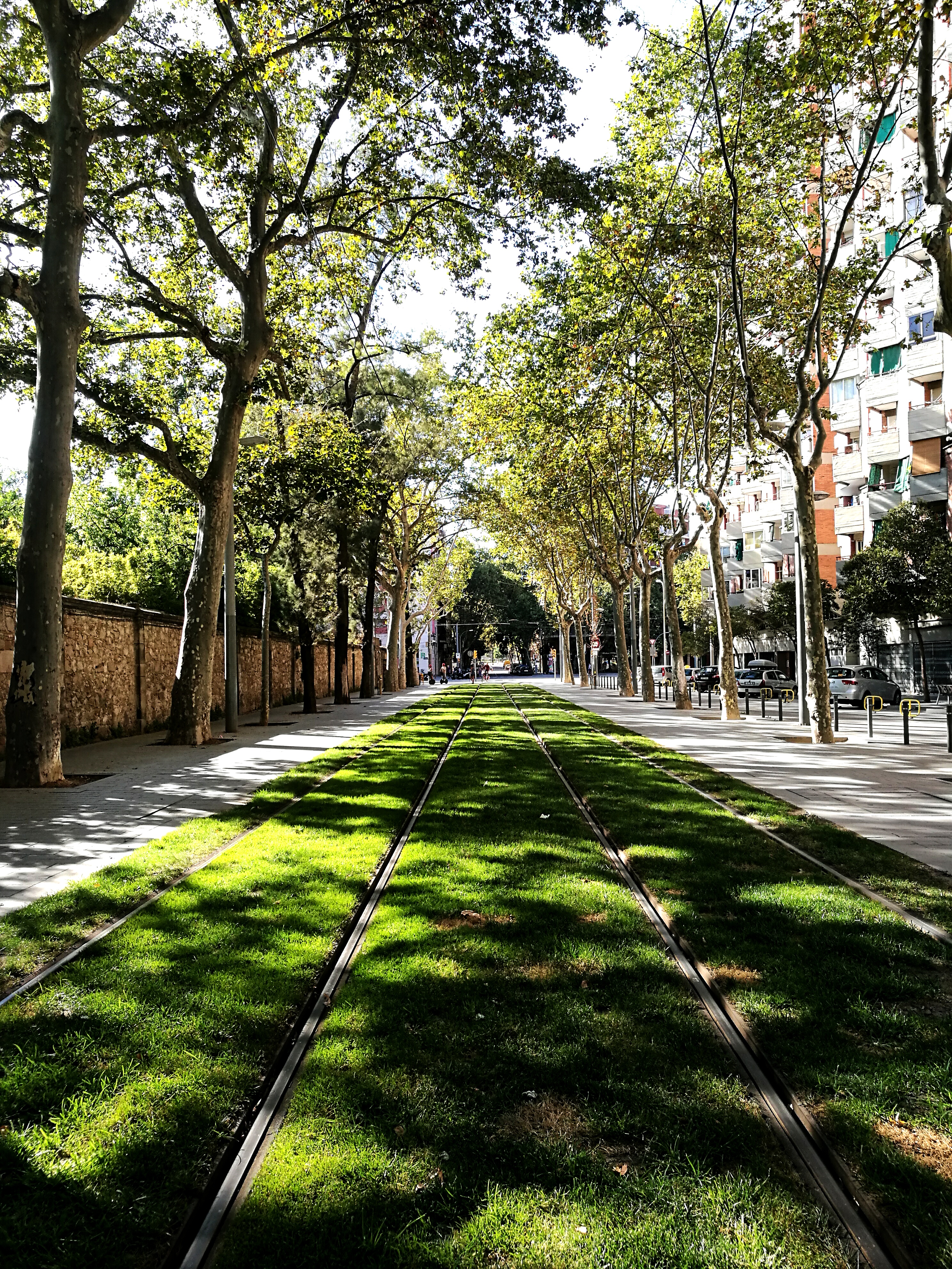 Gallery of City streets filled with Greenery. Tall trees, plants and bushes. All a vivid green colour with dappled sunlight.